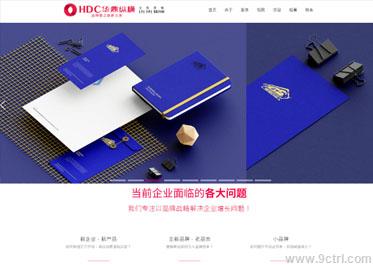 品牌策划案例之网站建设